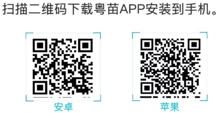 化州市民如何通过“粤苗”APP进行预约接种新冠疫苗？ - 化州信息网